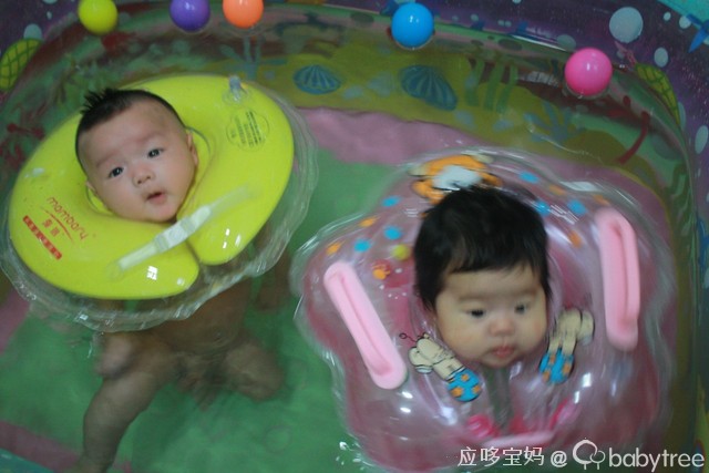 journal_insert_pic_58215311
