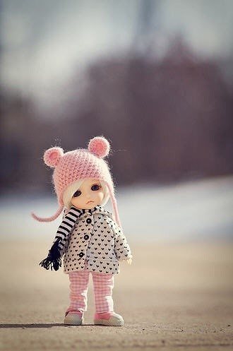 journal_insert_pic_58522114
