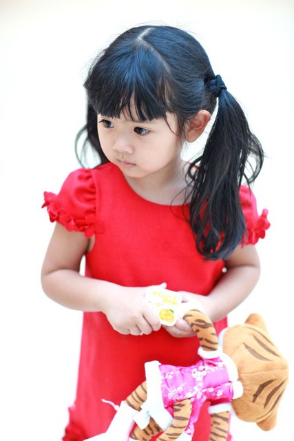 journal_insert_pic_58570727
