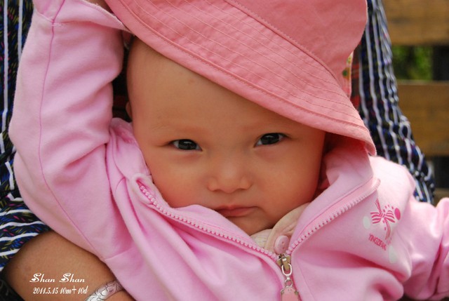 journal_insert_pic_59979632