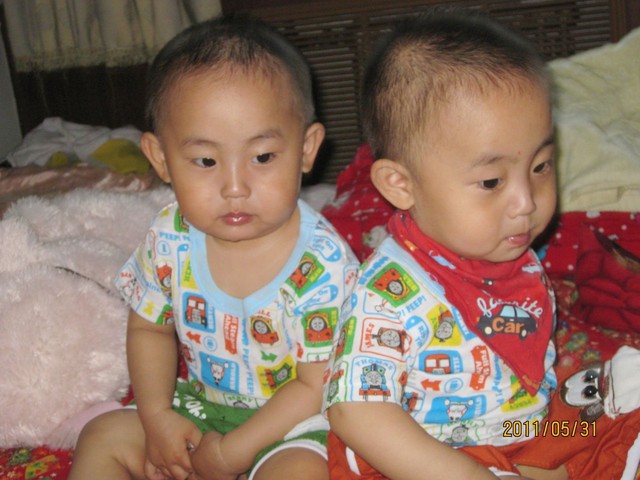 journal_insert_pic_60033963