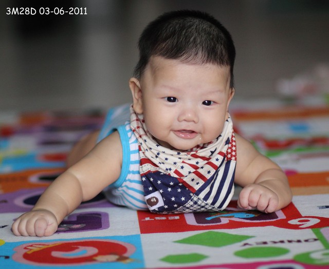 journal_insert_pic_60046283