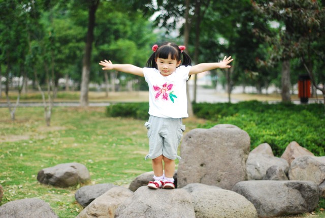 journal_insert_pic_60063397