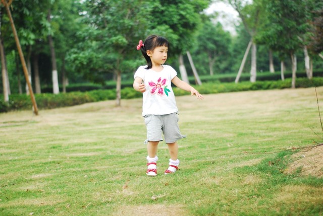 journal_insert_pic_60063410