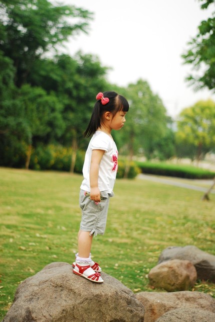 journal_insert_pic_60063019