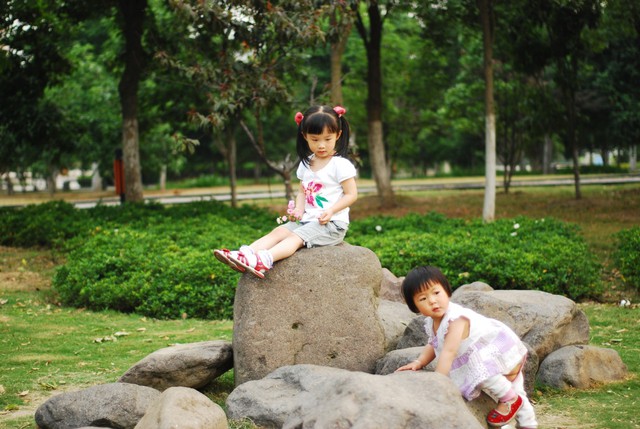 journal_insert_pic_60063325
