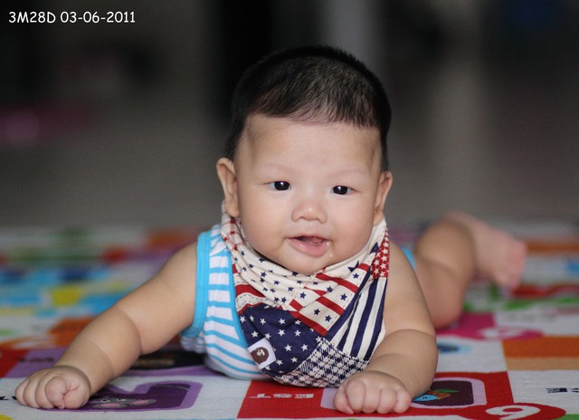 journal_insert_pic_60046277