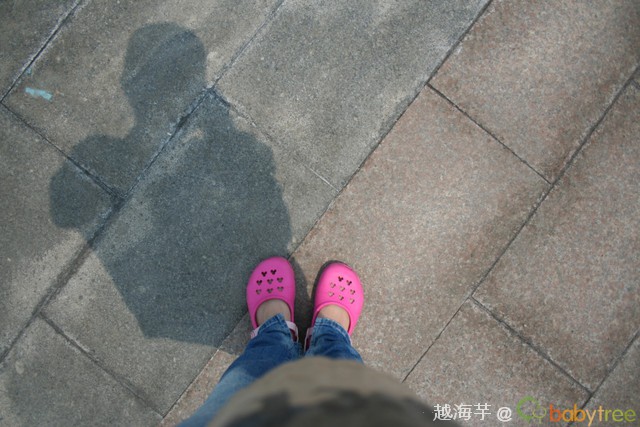 journal_insert_pic_60091638