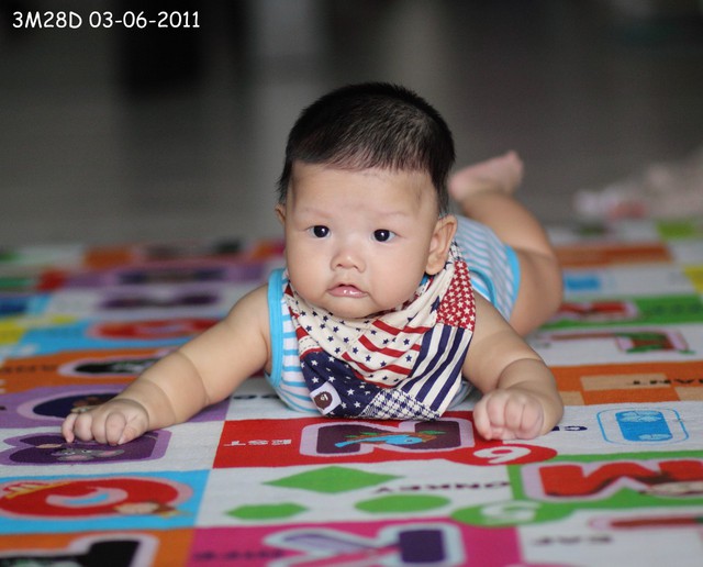 journal_insert_pic_60046272