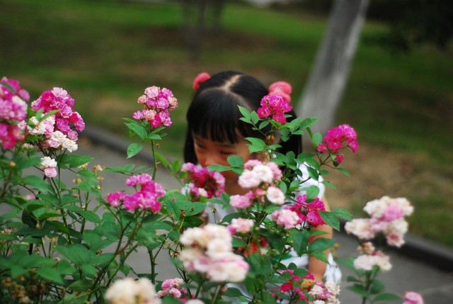 journal_insert_pic_60063507
