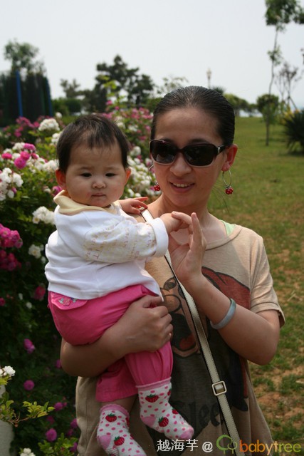 journal_insert_pic_60091372