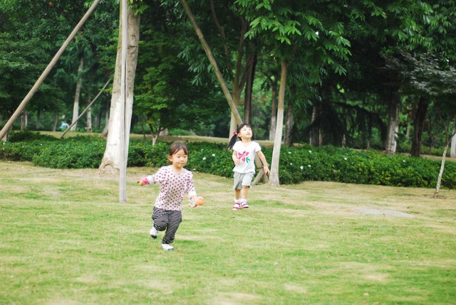 journal_insert_pic_60063412