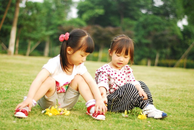 journal_insert_pic_60063244
