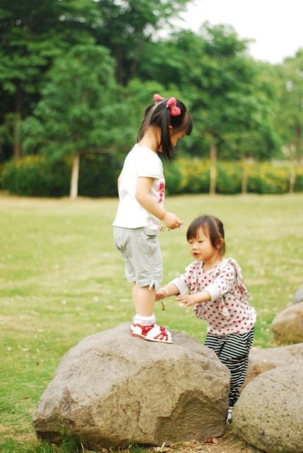 journal_insert_pic_60063015