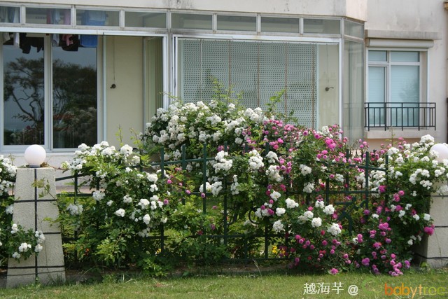 journal_insert_pic_60091391