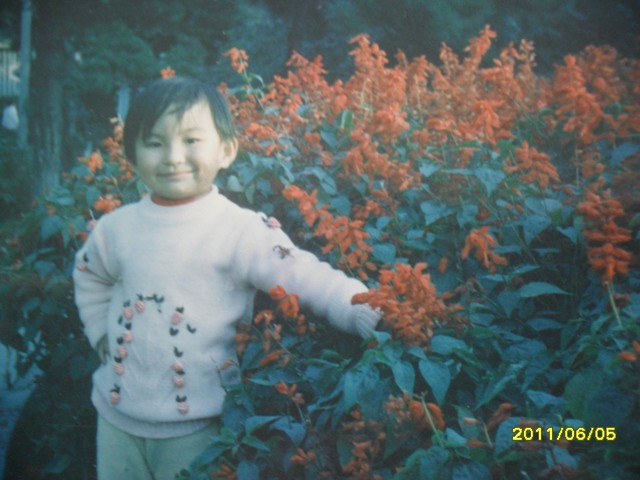 journal_insert_pic_60145457
