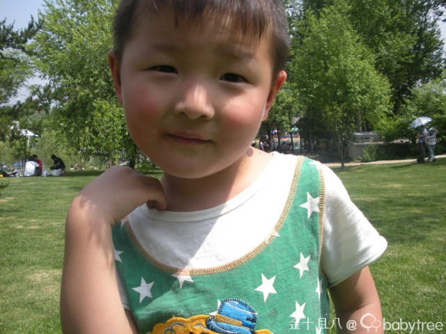 journal_insert_pic_60140072