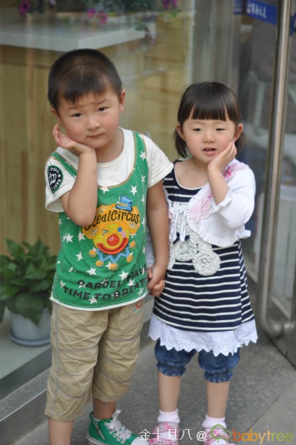 journal_insert_pic_60137571