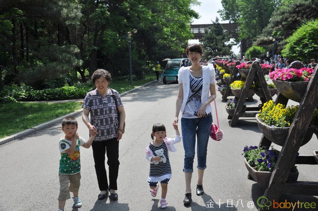 journal_insert_pic_60137644