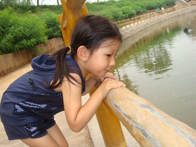 journal_insert_pic_60212910