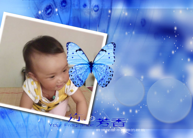 journal_insert_pic_60982674