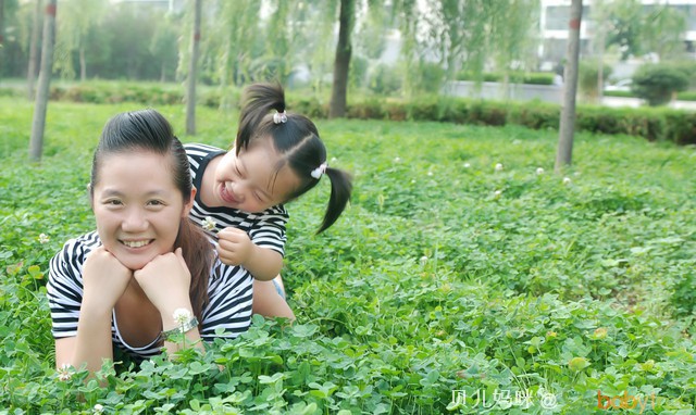 journal_insert_pic_62226250