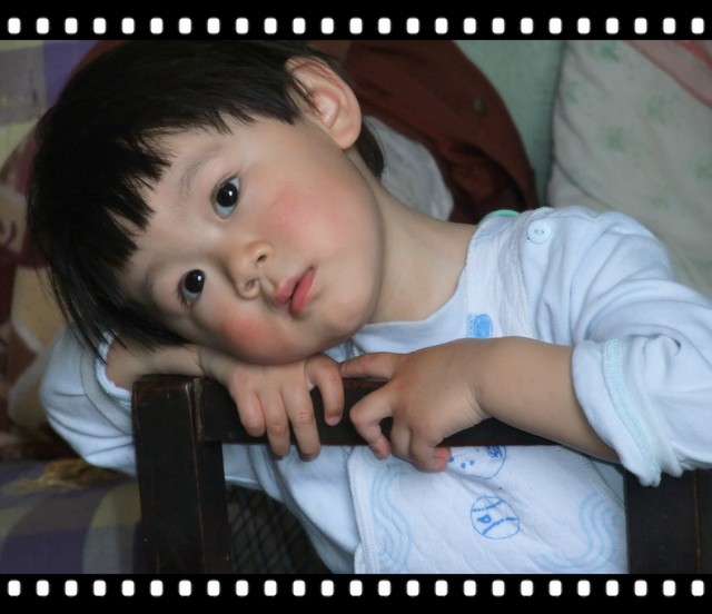 journal_insert_pic_64009960