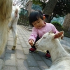 DSC00864.JPG