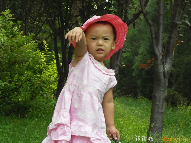 journal_insert_pic_66282020