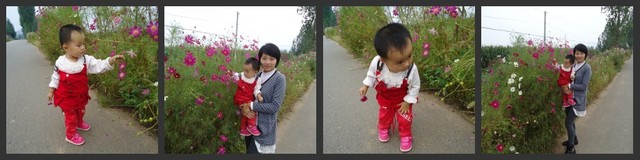 journal_insert_pic_66698413