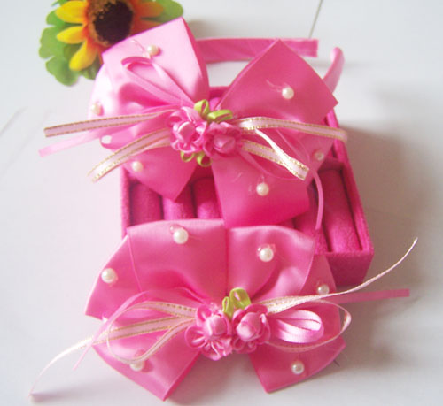 journal_insert_pic_66923247