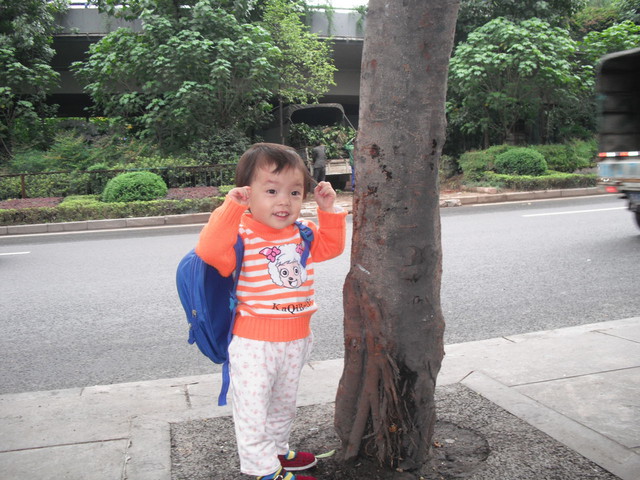journal_insert_pic_69354014