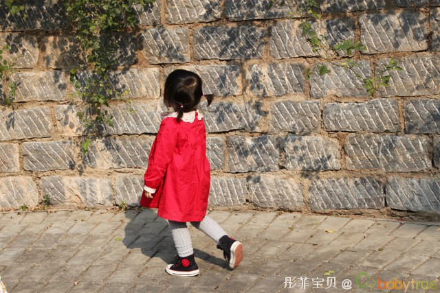 journal_insert_pic_70415723