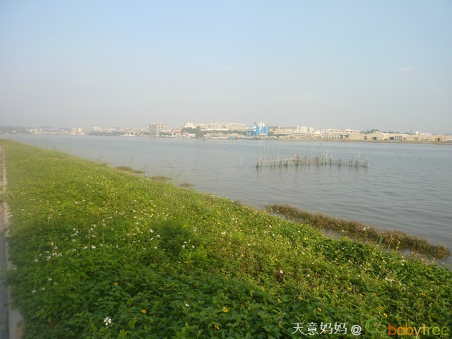 journal_insert_pic_73322715