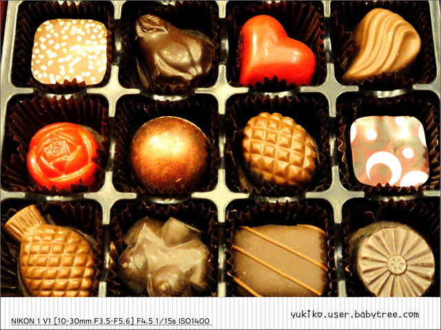journal_insert_pic_73323148