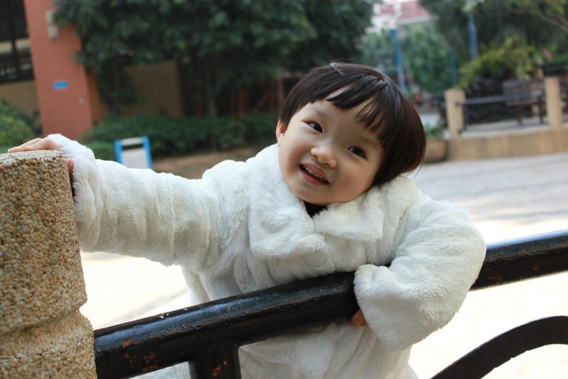 journal_insert_pic_73416729