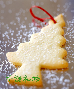 journal_insert_pic_73633103