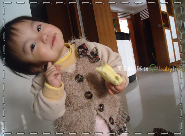 journal_insert_pic_74892461
