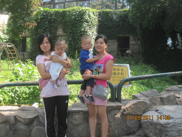 journal_insert_pic_75415452