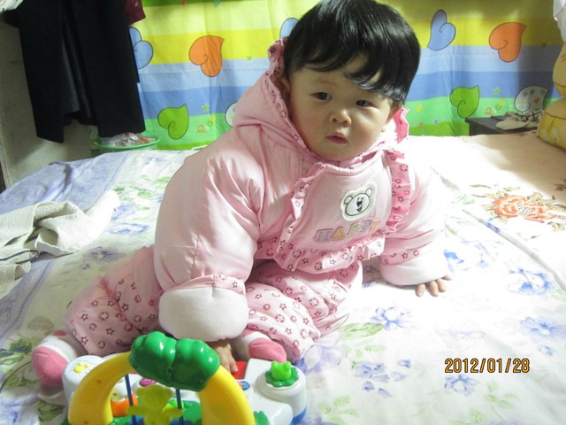 journal_insert_pic_75720297