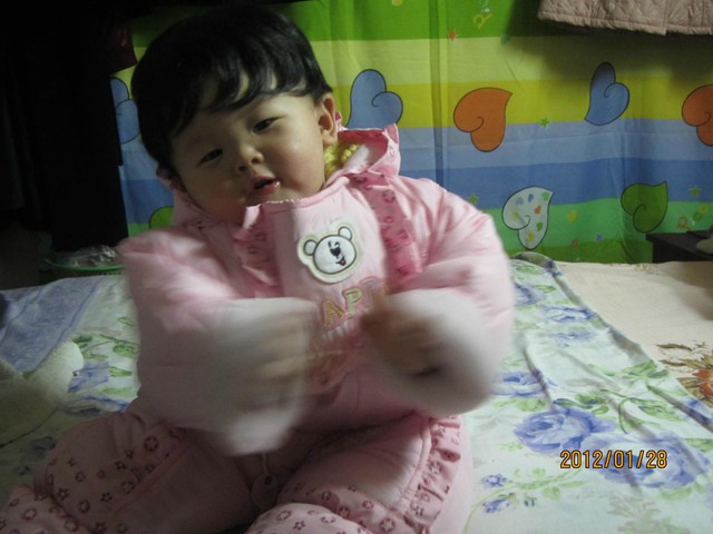 journal_insert_pic_75720308