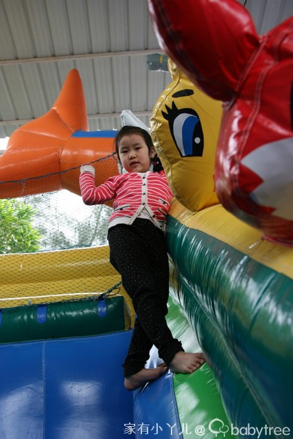 journal_insert_pic_75703132
