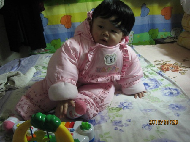 journal_insert_pic_75720286