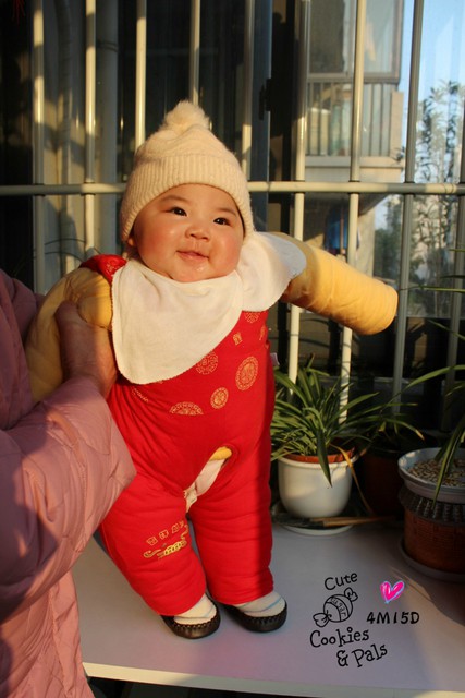 journal_insert_pic_75786364