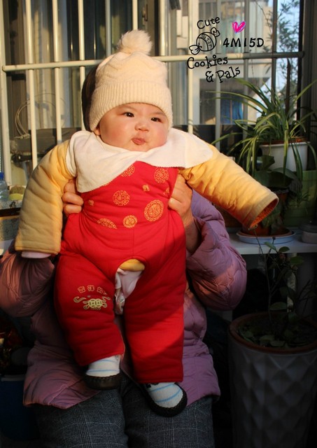journal_insert_pic_75786356