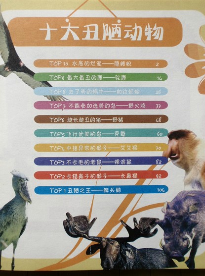 journal_insert_pic_75965257