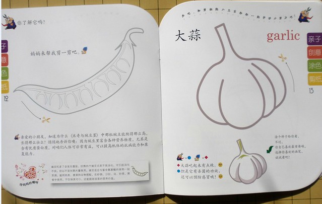 journal_insert_pic_75965228
