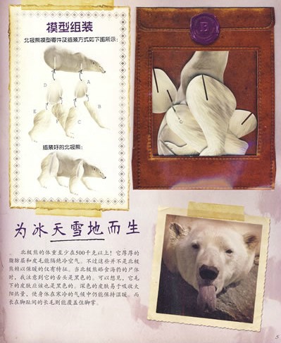 journal_insert_pic_75965306
