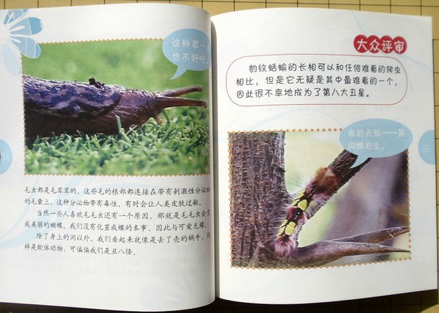 journal_insert_pic_75965253
