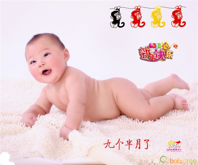 journal_insert_pic_76027196
